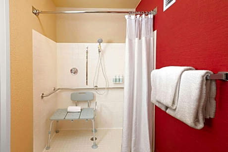 Room, 1 King Bed with Sofa bed (Mobility/Hearing Access, Roll-In Shwr)