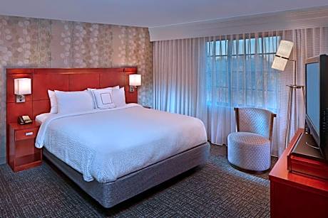 One-Bedroom King Suite with Balcony and Sofa Bed - Hearing Accessible