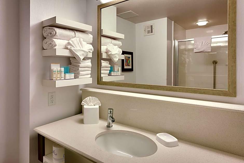 Hampton Inn By Hilton Salt Lake City-Downtown