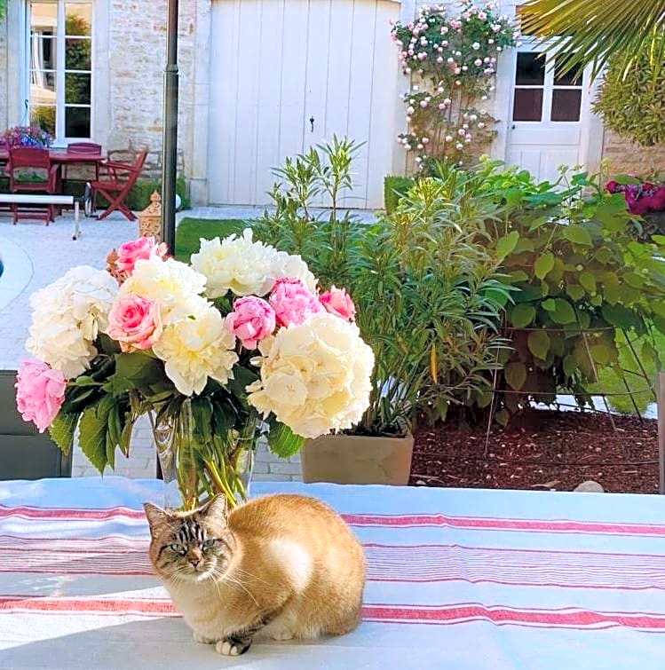 "LE JARDIN" Chambre de charme, piscine à Meursault