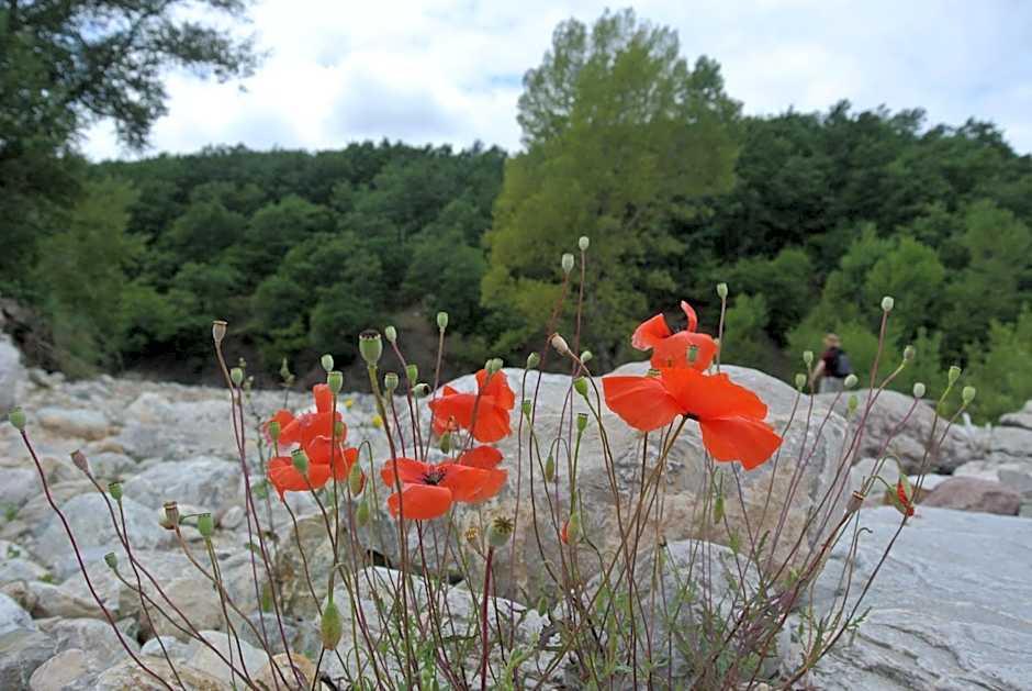 Locanda La Pieve B&B vicino Saturnia