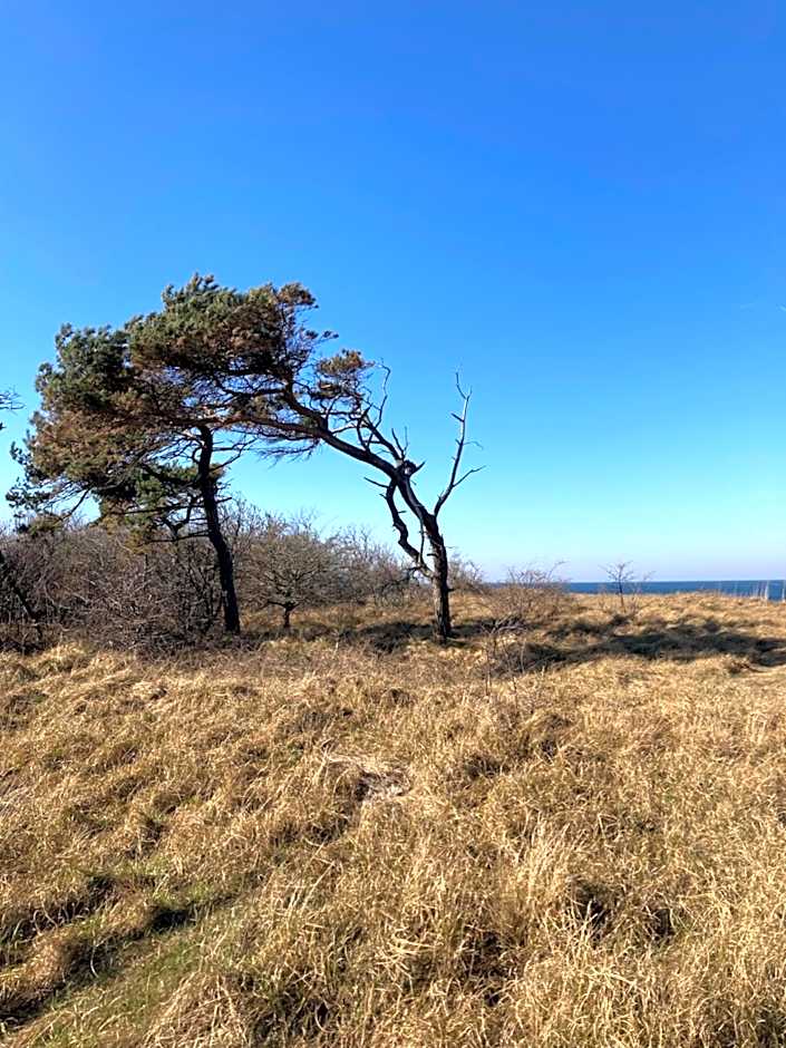 Gästehaus Windflüchter