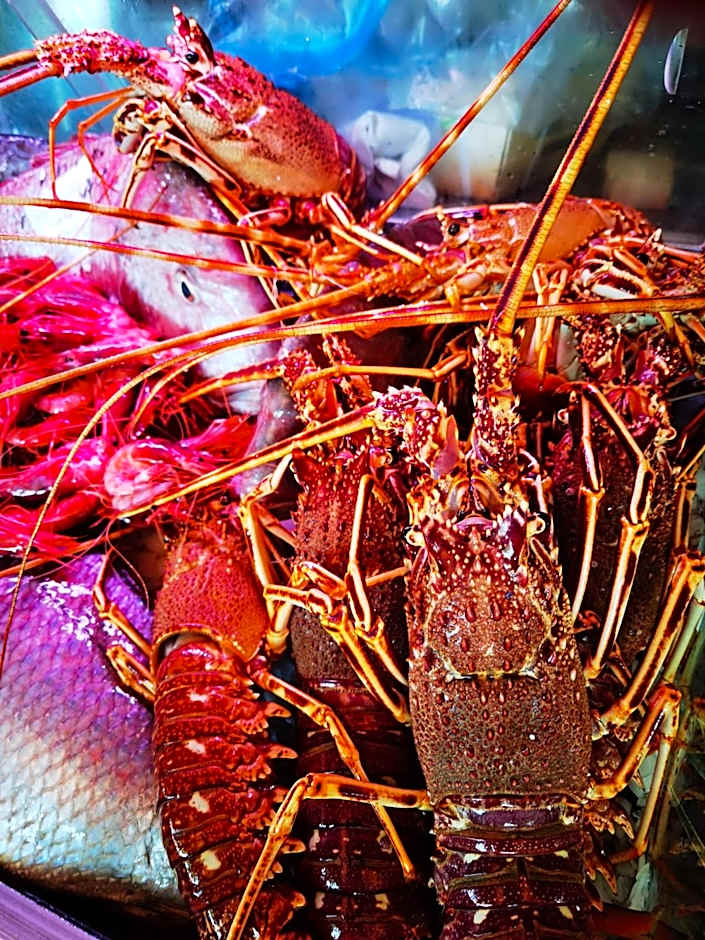 Hotel Embarcadero de Calahonda de Granada