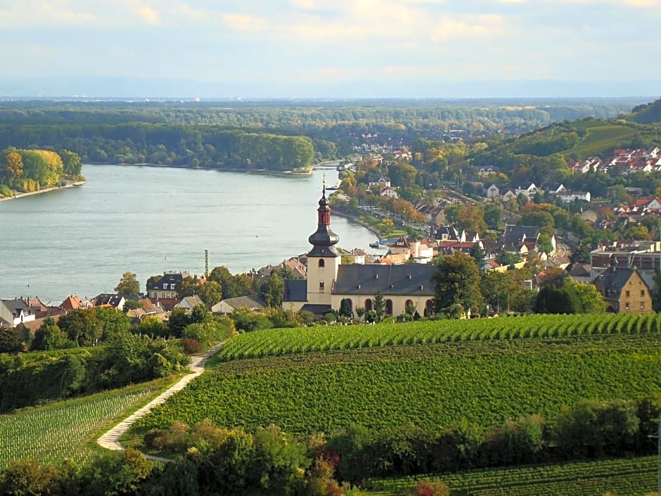 Best Western Wein-Und Parkhotel Nierstein