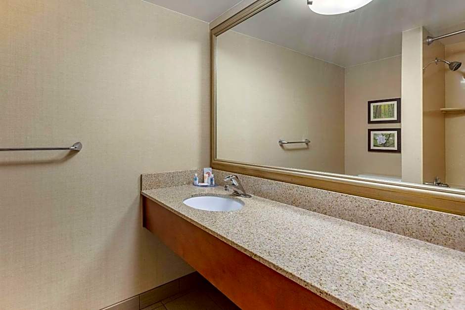 Comfort Inn Lansing West