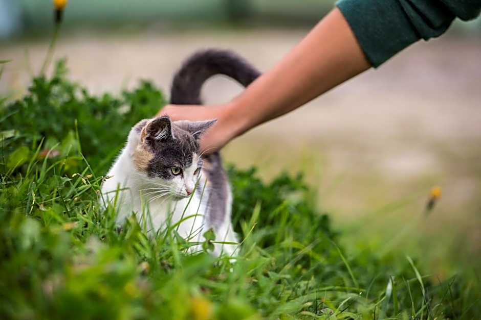 Residence Speckerhof