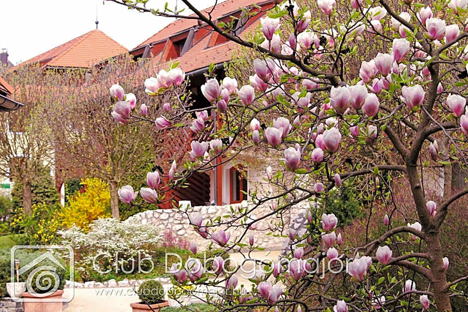 Club Dobogómajor superior