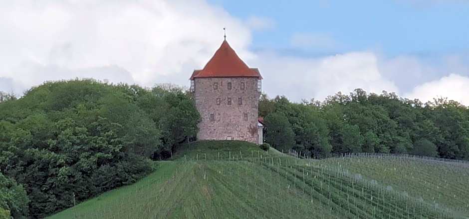 Sali Homes - GaesteHaus Lamm Obersulm