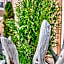 Boutique-Hotel am Ledererturm
