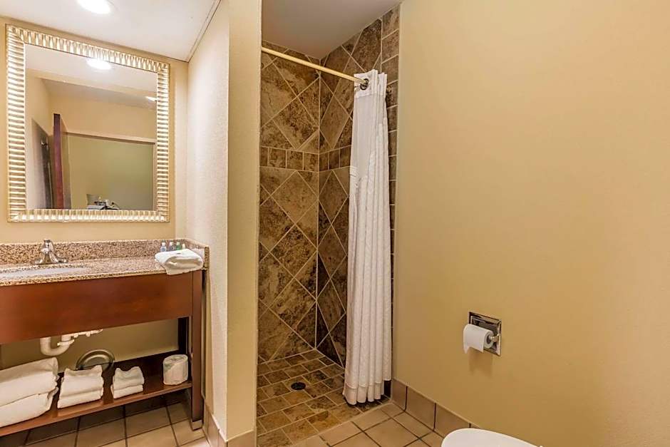 Comfort Inn & Suites Jasper Hwy 78 West