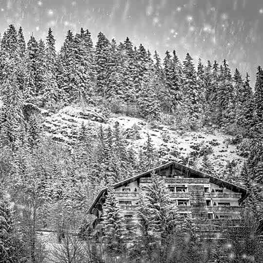 Hôtel Le Grand Chalet