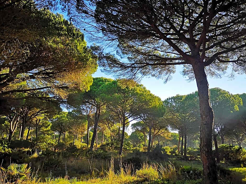 Mirador de Trafalgar Conil