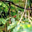 Htl & Villas Comala, alberca , parking, centricas, Petfriendly