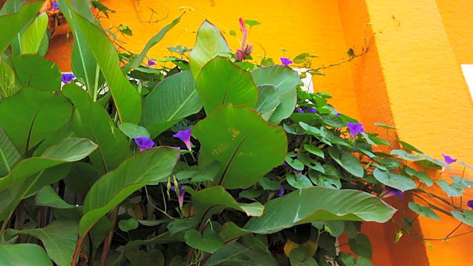 Sultan Hostel&Guest House