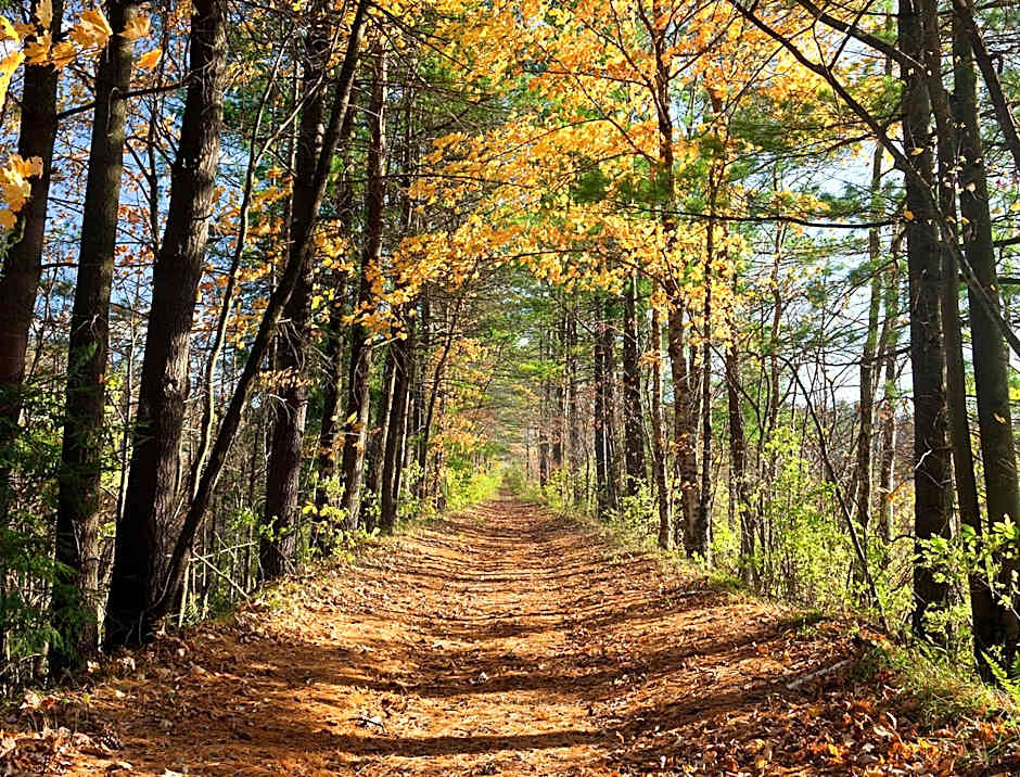 Eastover Estate and Eco Village