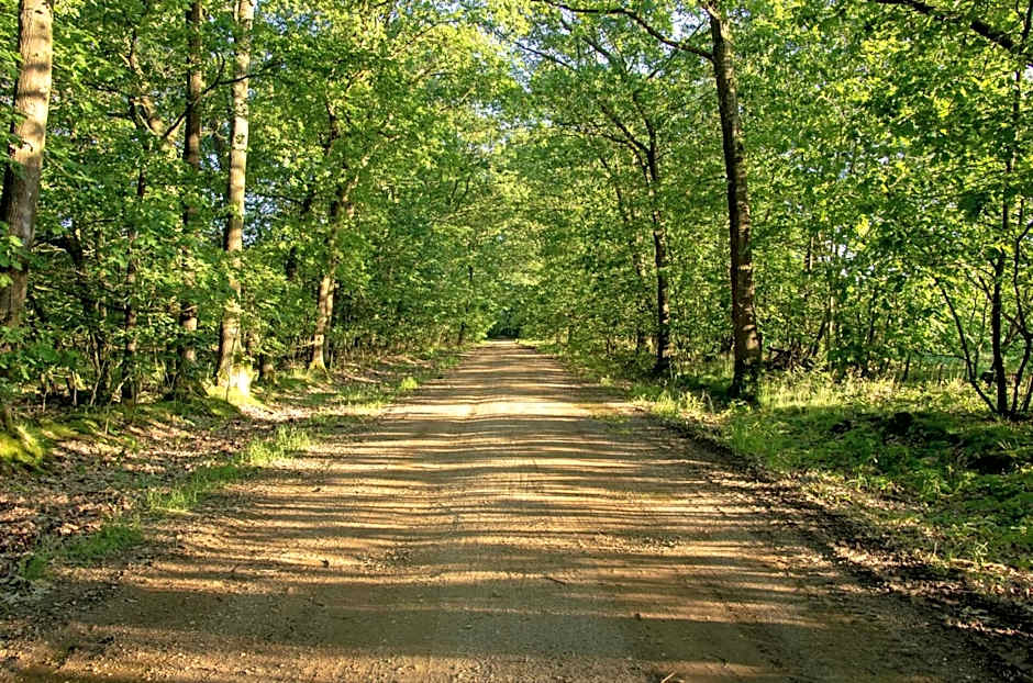 Heidebos