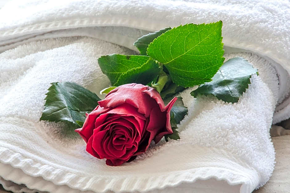 Fedriades Delphi Hotel