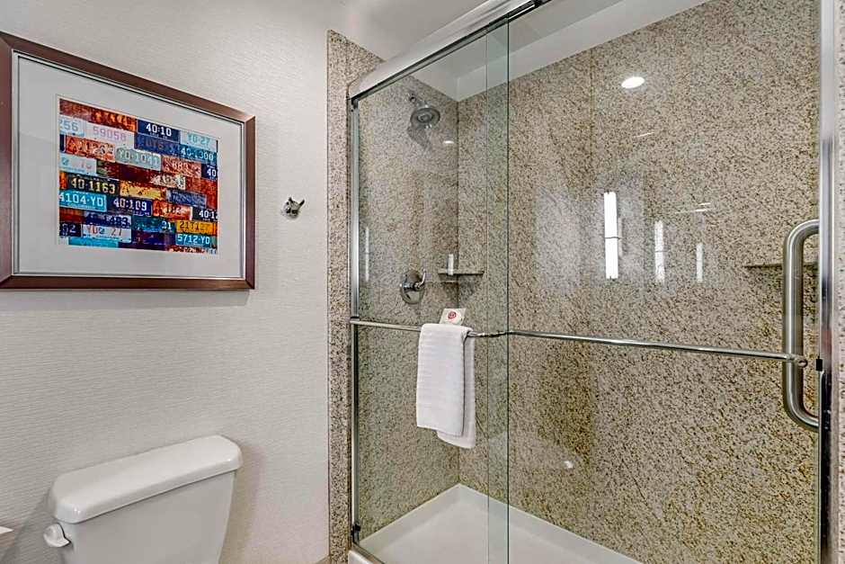 Comfort Inn & Suites Brighton Denver NE Medical Center