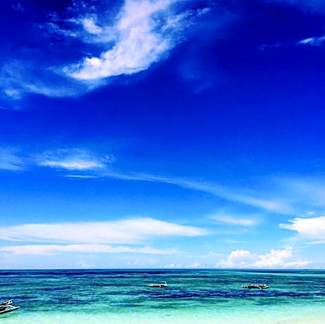 Deluxe Bungalow Garden View