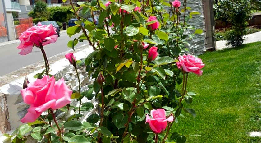 B&B La Rosa dei Venti