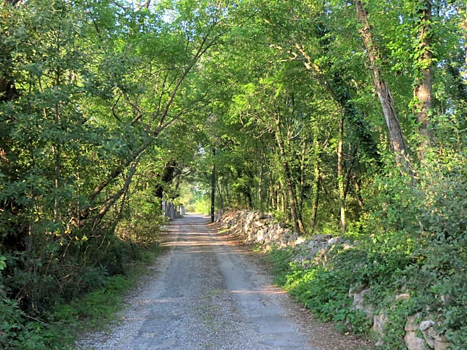 Le Castellas du Pic St Loup