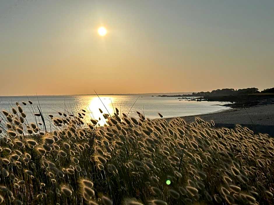 Les Suites de Bougainville