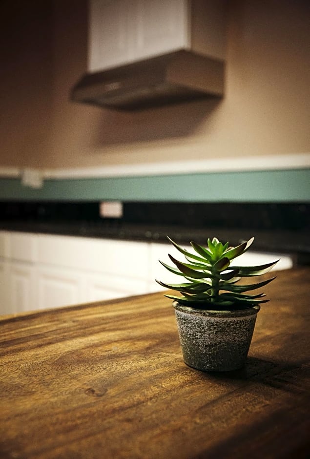 Melrose Hostel