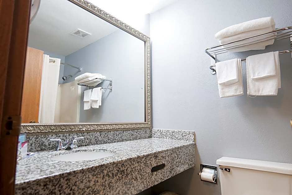 Baymont by Wyndham Flint Airport North