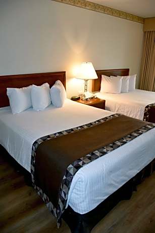 2 Double beds - Non Smoking