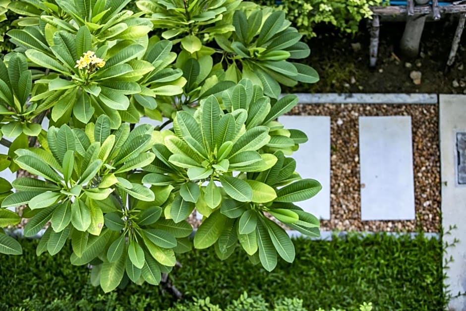 โรงแรมกอดหมอน