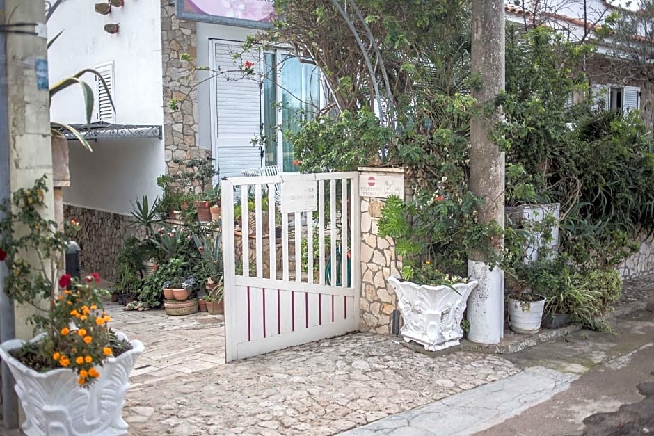 B&B Marchese by Vivimy