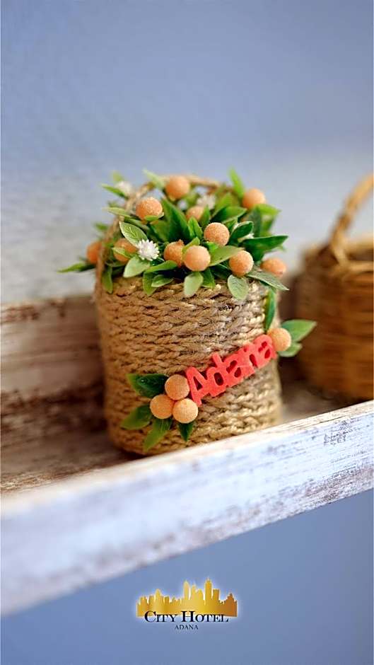 Adana City Boutique Hotel