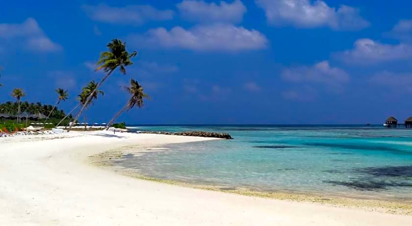 Courtyard Guesthouse