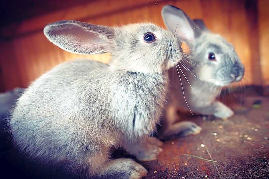 Wolkendorf Bio Hotel & Spa