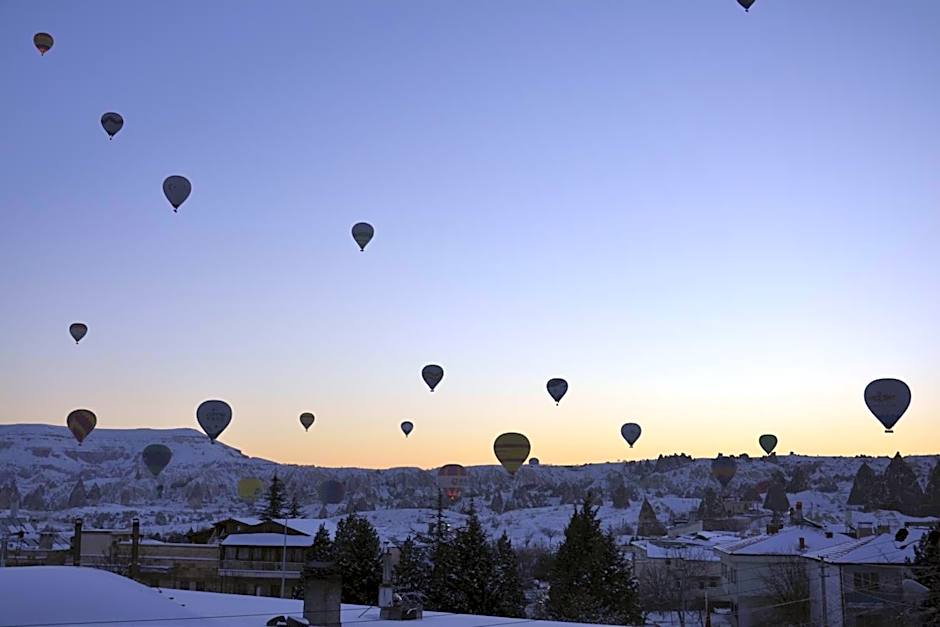 ShoeString Stone House