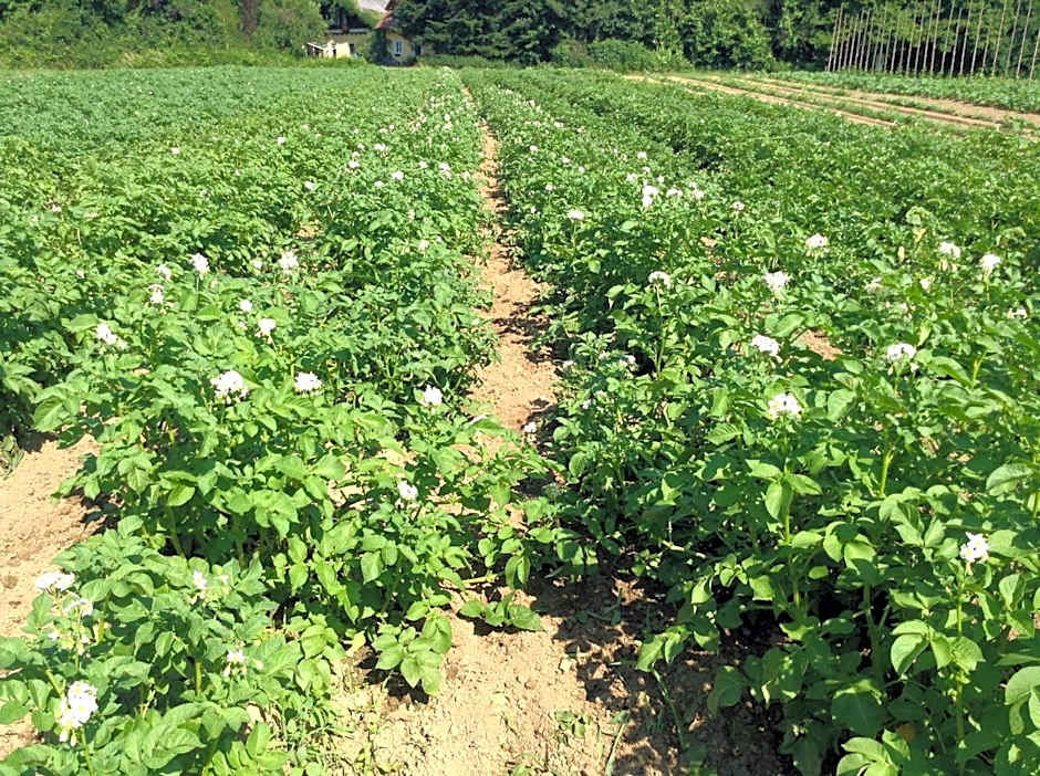 Hotel und Freizeitanlage Rauch-Hof