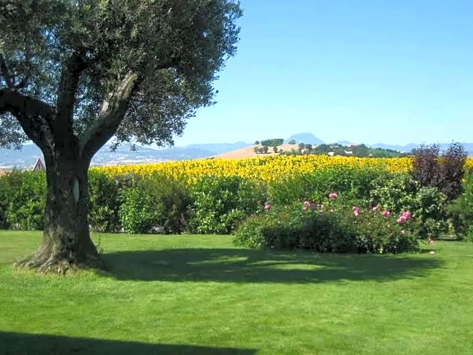 Il Giardino delle Rose