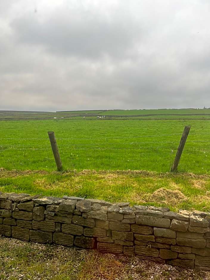 The Dog and Partridge