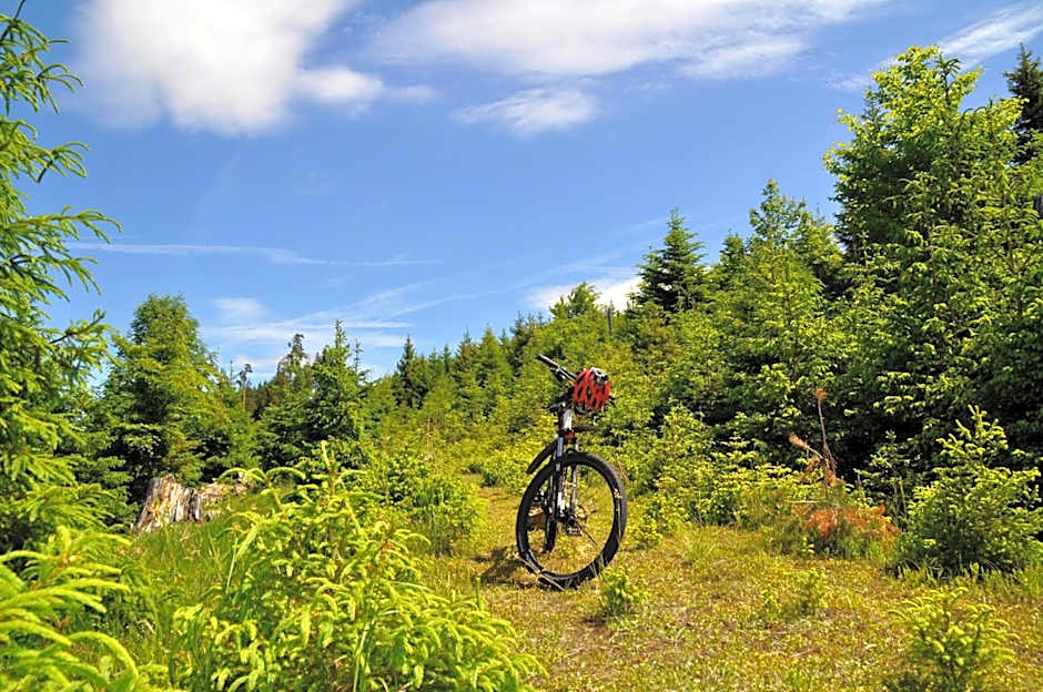 Schwarzwaldhotel Klumpp