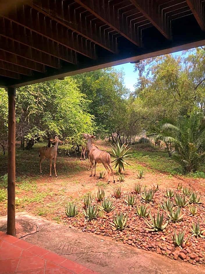 Kruger Private Lodge
