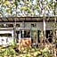 Hidden Valley Forest Retreat