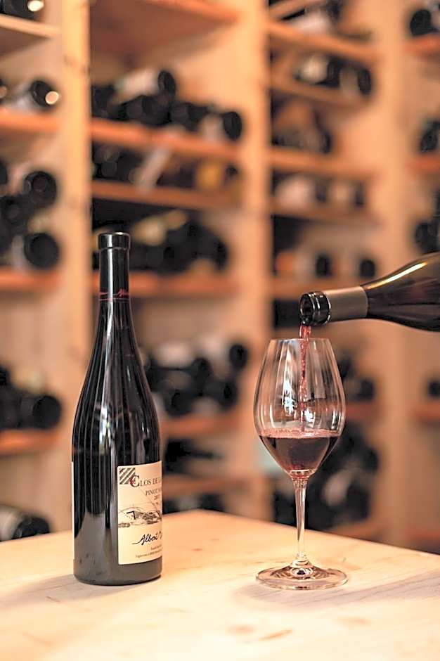 Logis Hotel Des Vosges