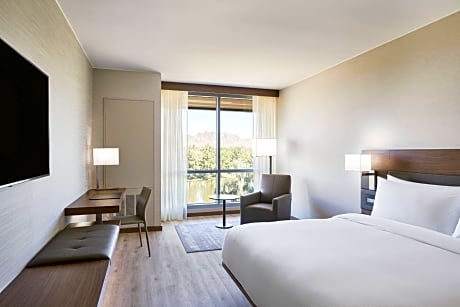 Guest room, 1 King, Mountain view