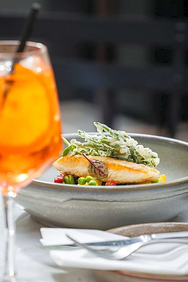 Lion & Pheasant Hotel