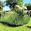 La Primavera B&B