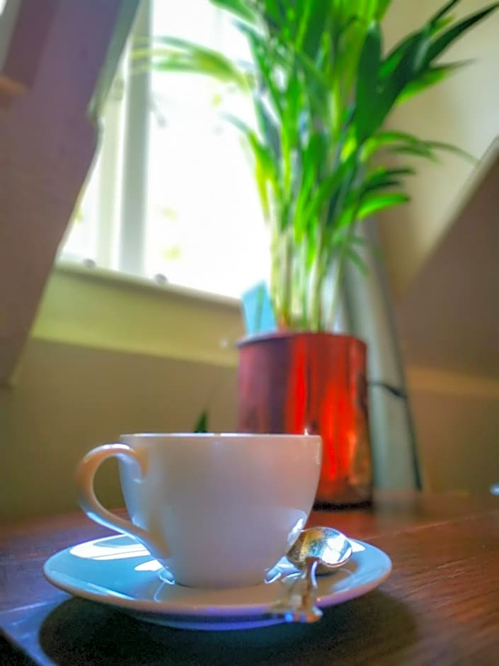 Cedar House Boutique B&B