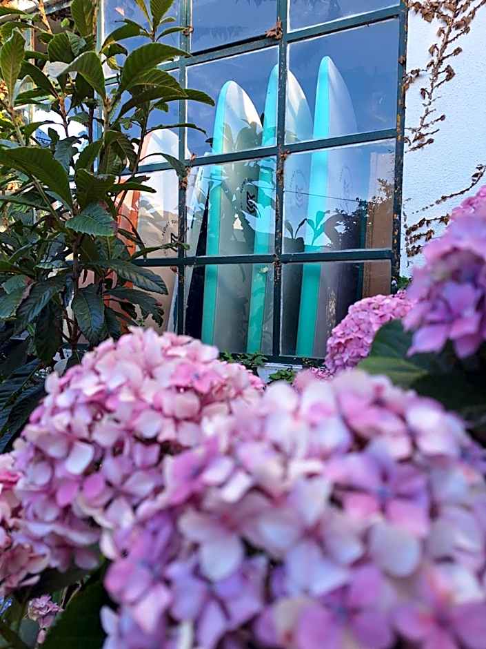 Natural Mystic Hostel