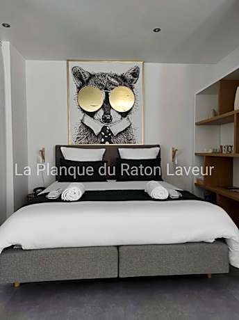 La planque du raton laveur