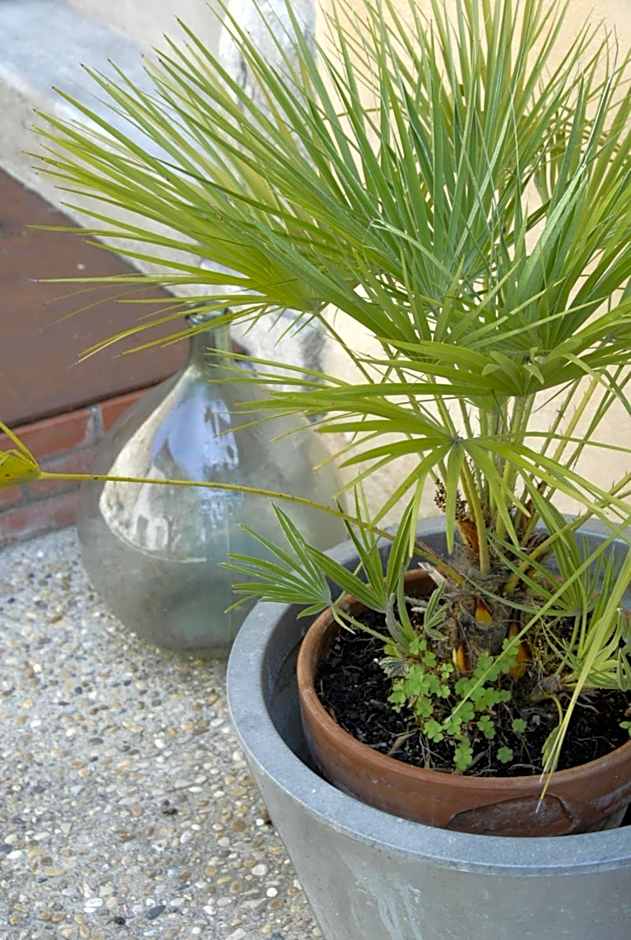 La Maison Vieille Maison d'Hôtes & Gîtes