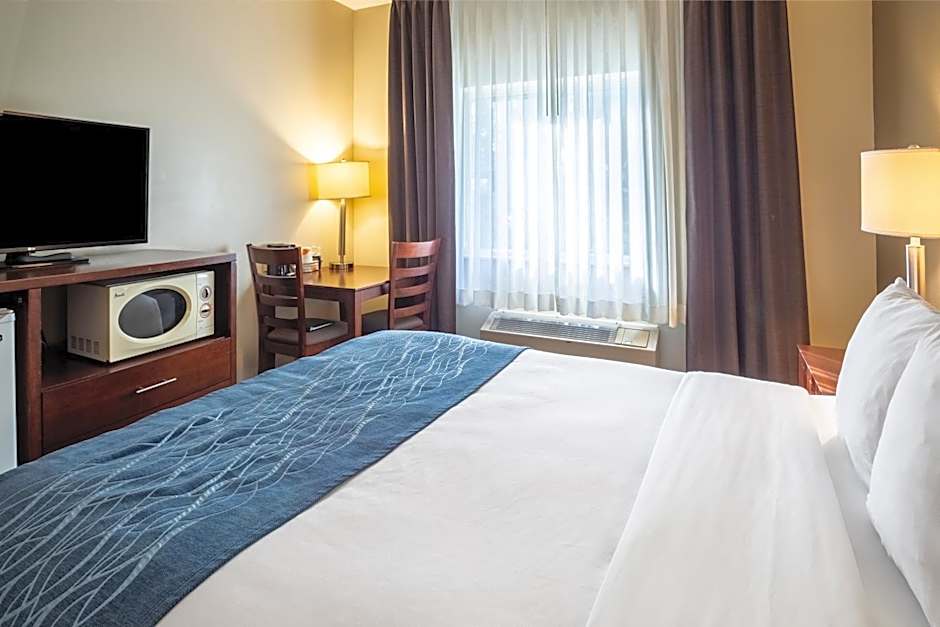 Comfort Inn Lacey - Olympia